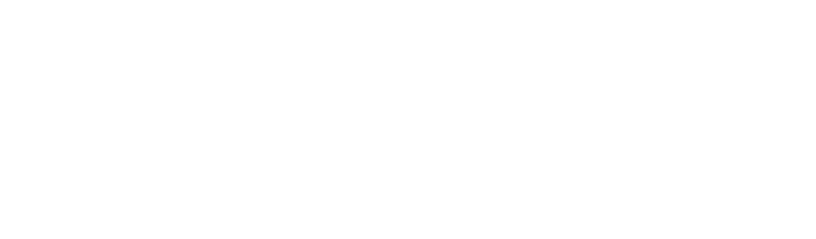 描述