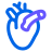描述