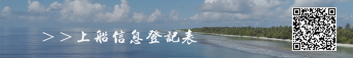 描述