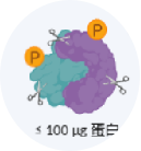 微量磷酸化+全蛋白组联合检测方案