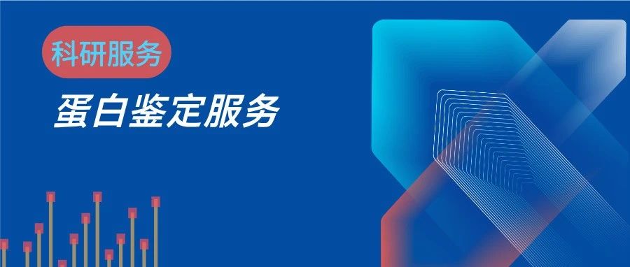 蛋白鉴定demo报告