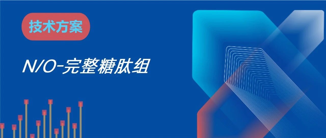 N/O-完整糖肽组demo报告