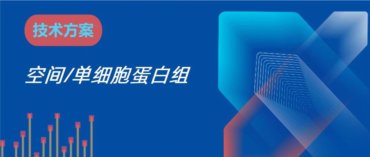 空间/单细胞蛋白组demo报告