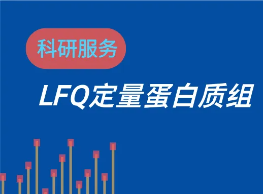 label free-DDA定量蛋白质组