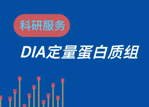 DIA全息定量蛋白质组