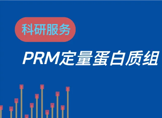 PRM靶向定量蛋白质组