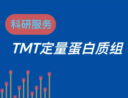 TMT-DDA标记定量蛋白质组