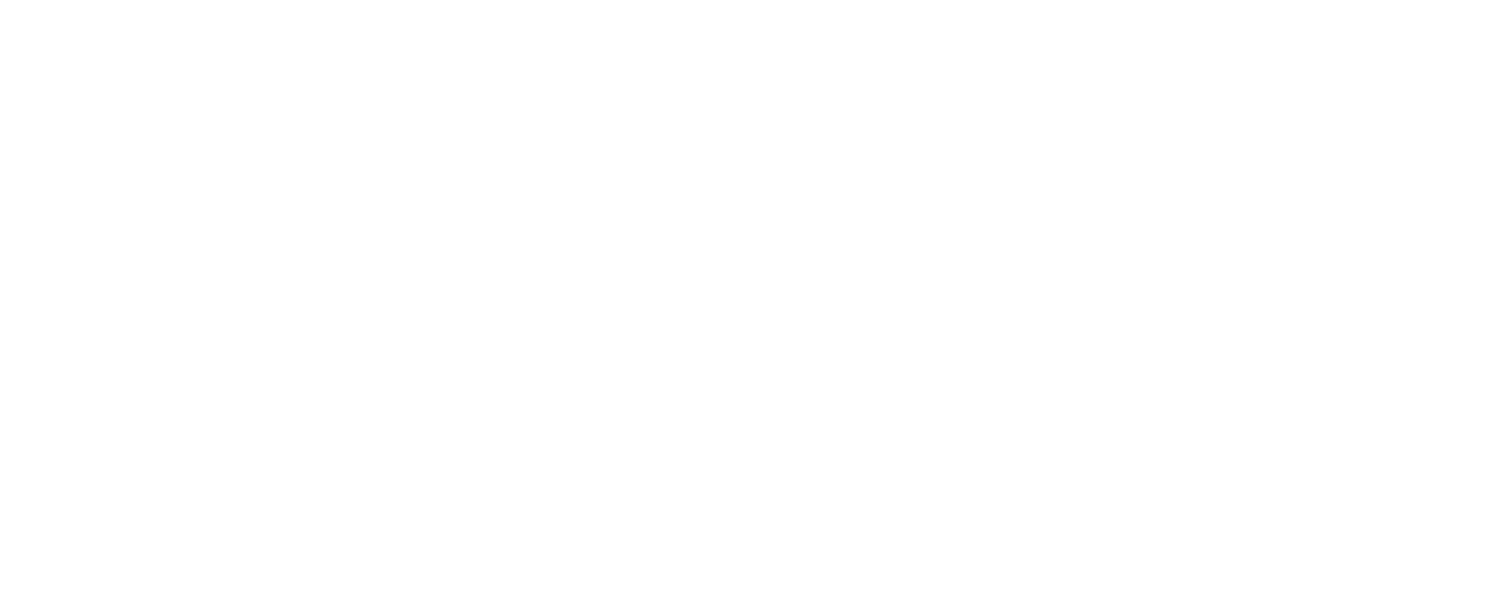 描述