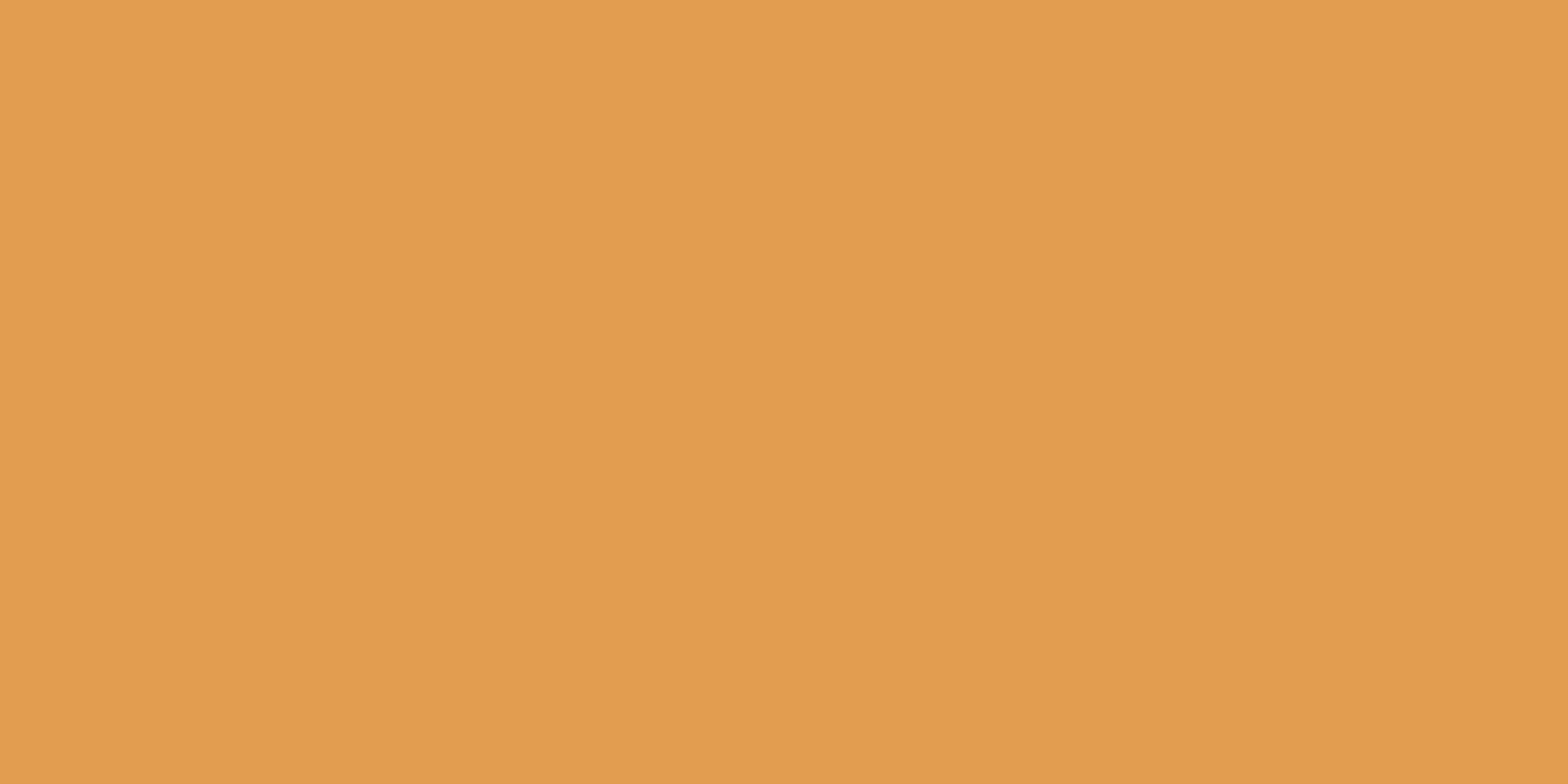 黄4920白水泥         #E29D50           RGB:226、157、80