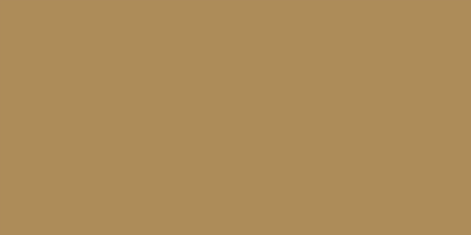 黄4920灰水泥          #AE8C5E          RGB:174、140、94
