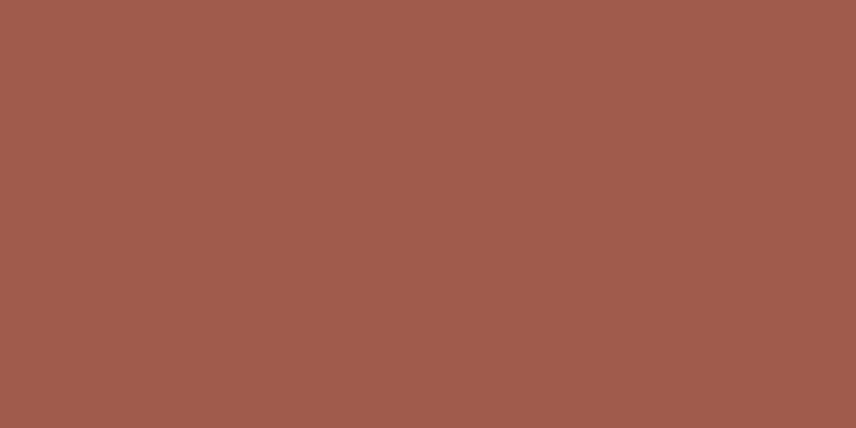 棕4610白水泥              #A05B4C                  RGB: 160、91、76