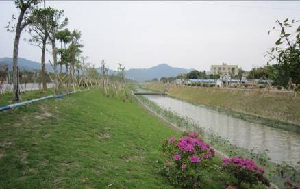 天窿河2011.3