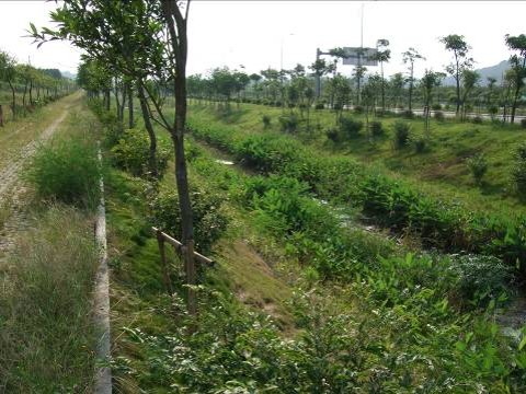 天窿河2011.8