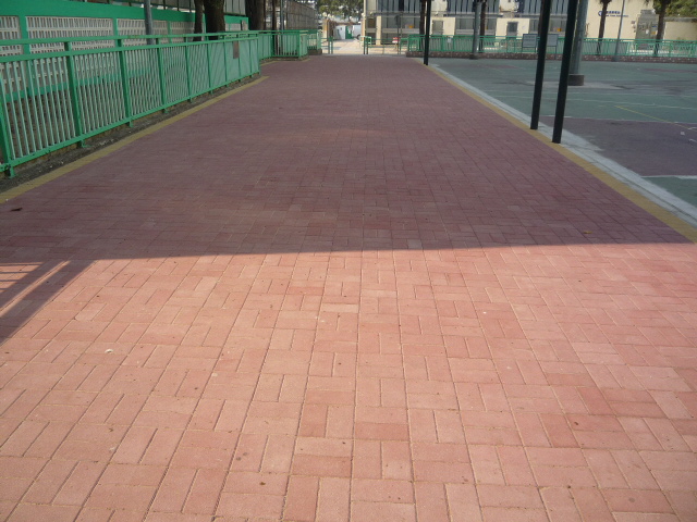 P1000682