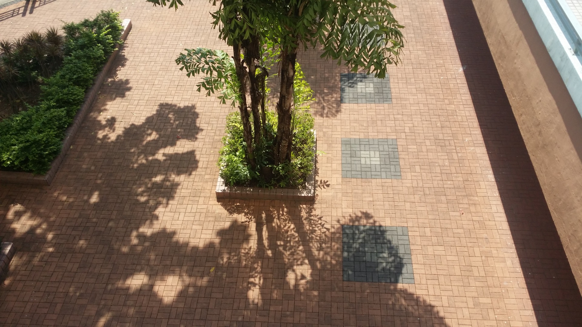 香港沙田汽车站
