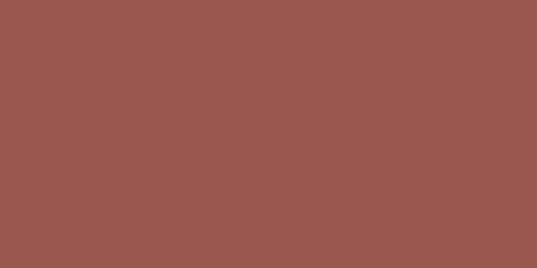 红4140灰水泥          #9A574F           RGB:154、87、79