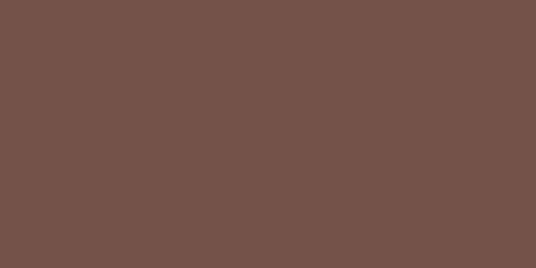 棕4686灰水泥         #745249           RGB:116、82、73