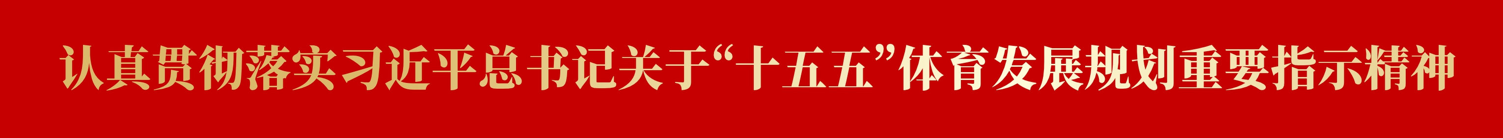 认真贯彻落实习近平总书记关于“十五五”体育发展规划重要指示精神