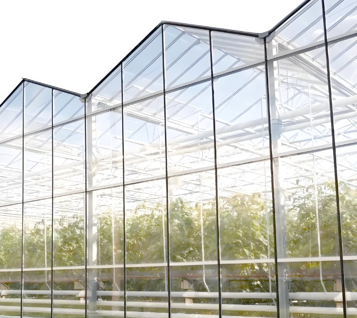 greenhouse