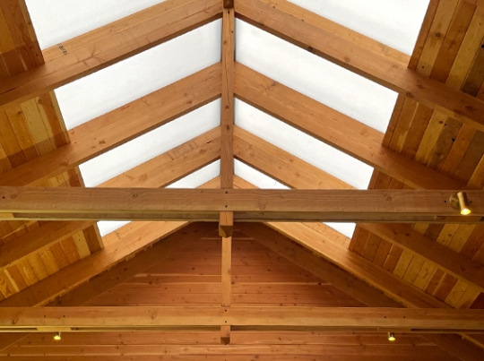 Light Diffused Ridged Skylight