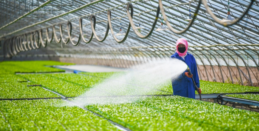 agriculture