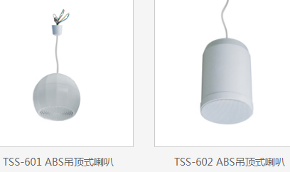 TIKS铁骑师 TSS-601/TSS-602吊顶式定压喇叭