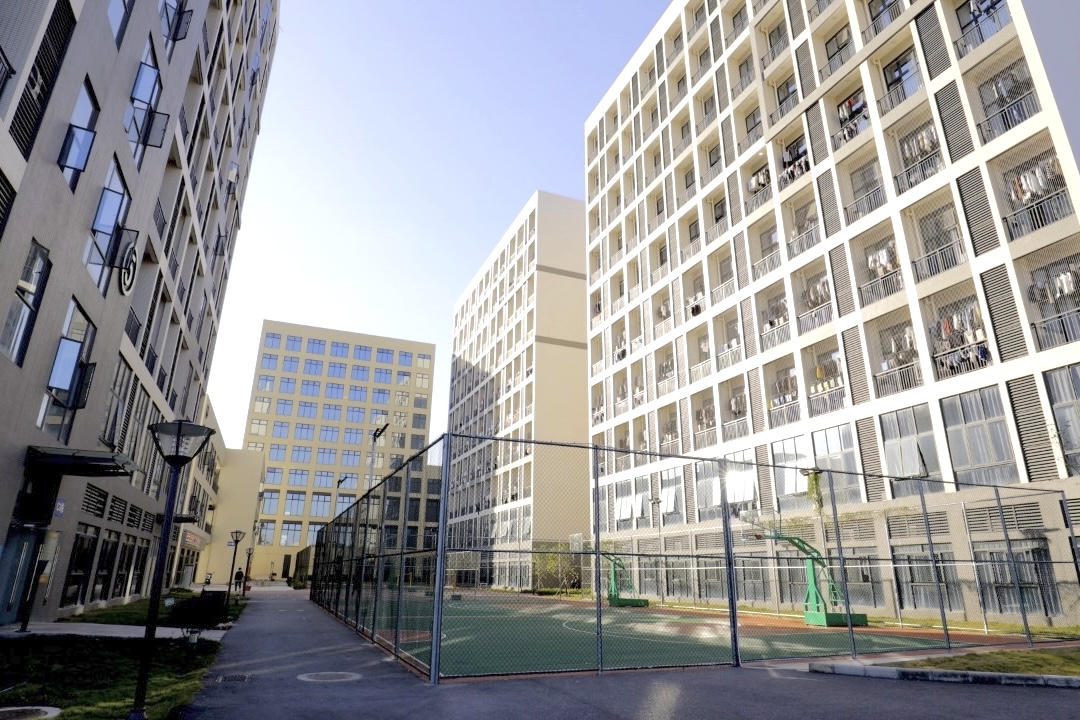 高职高考、普通专升本线下集训营，留学咨询服务