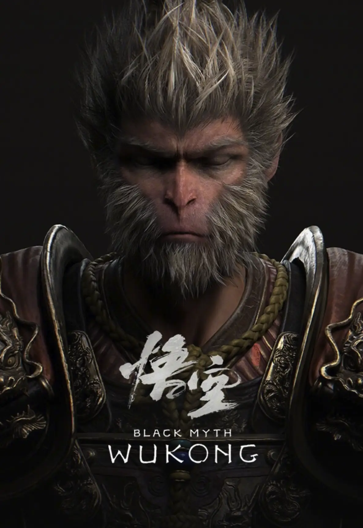 描述