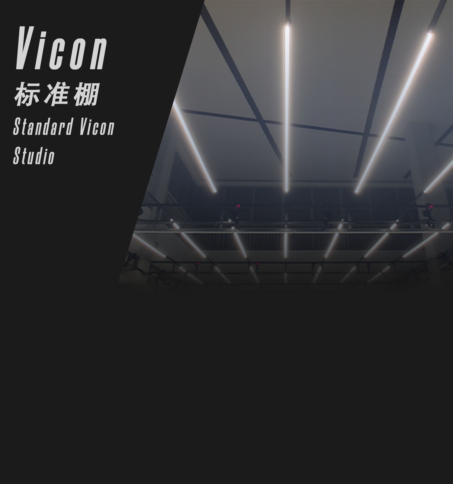 Vicon标准棚