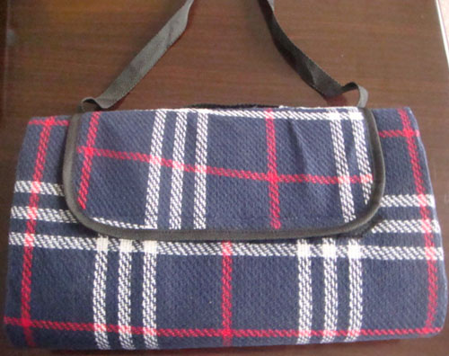 picnic mat
