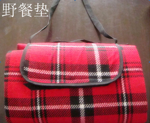 picnic mat
