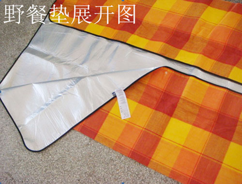 picnic mat