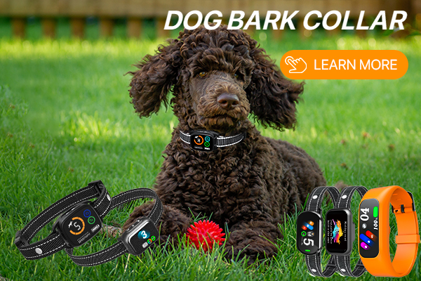 首页-我们的产品-1