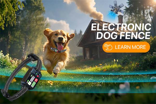 首页-我们的产品-2 拷贝