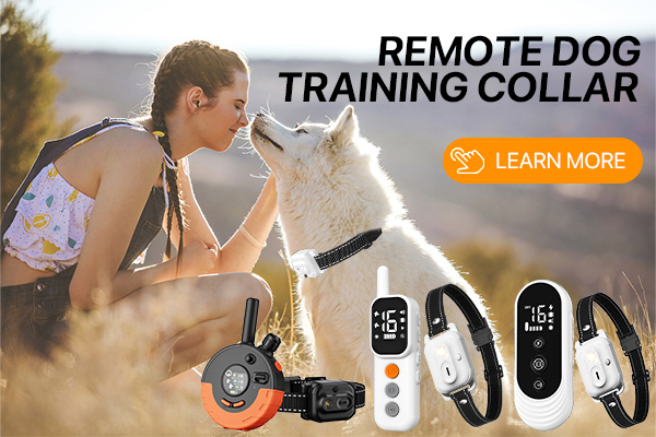 首页-我们的产品-4 拷贝