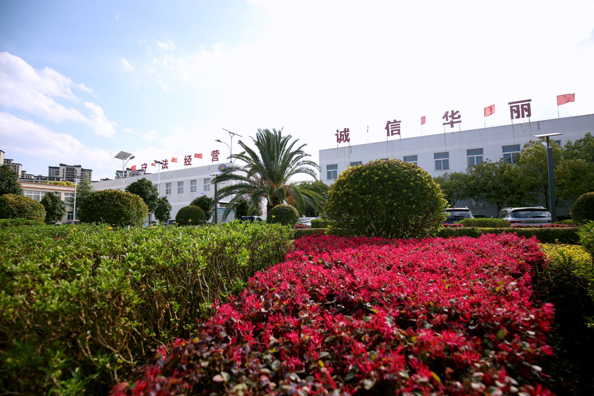公司一角