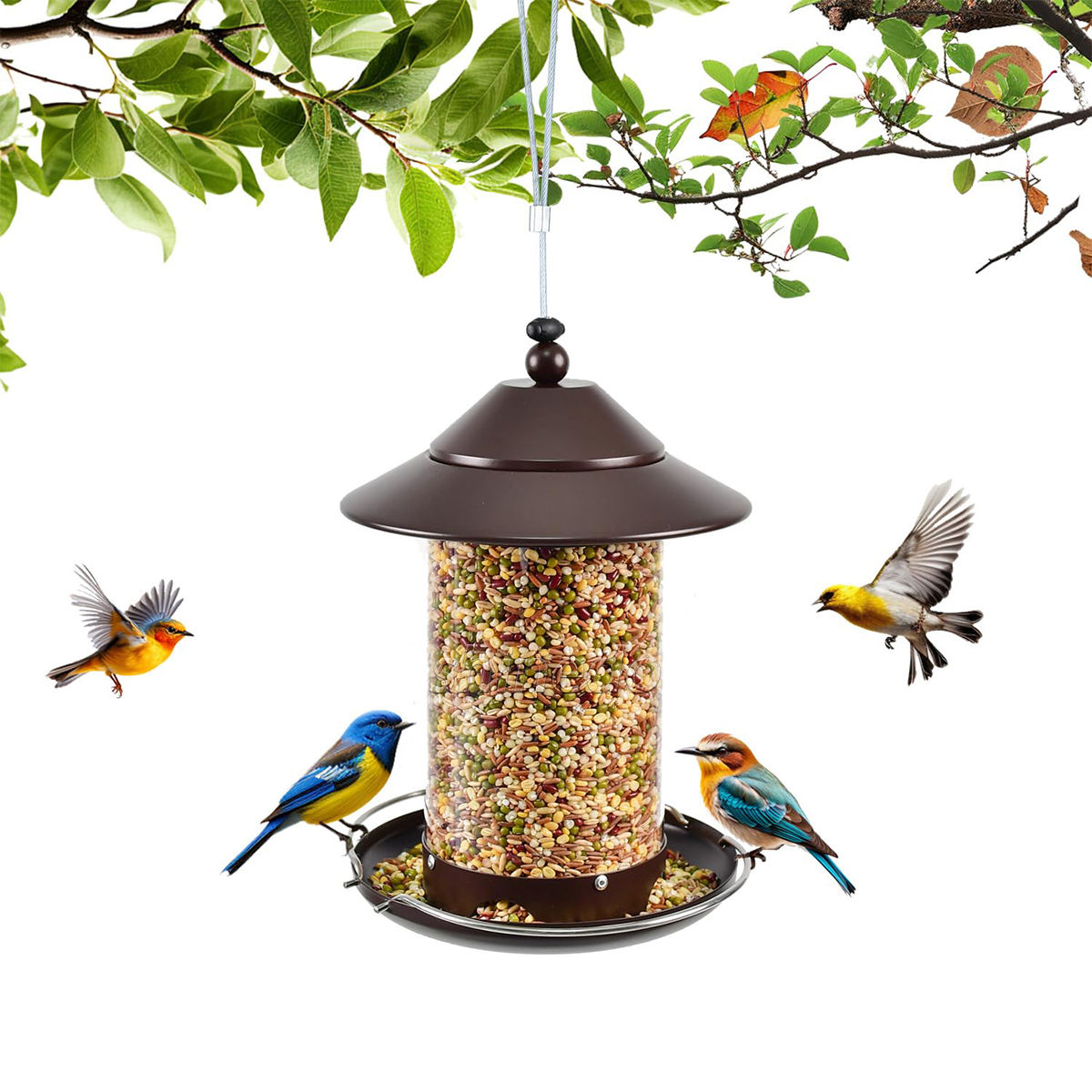 Outdoor Wild Bird feeder-Squirrel Proof