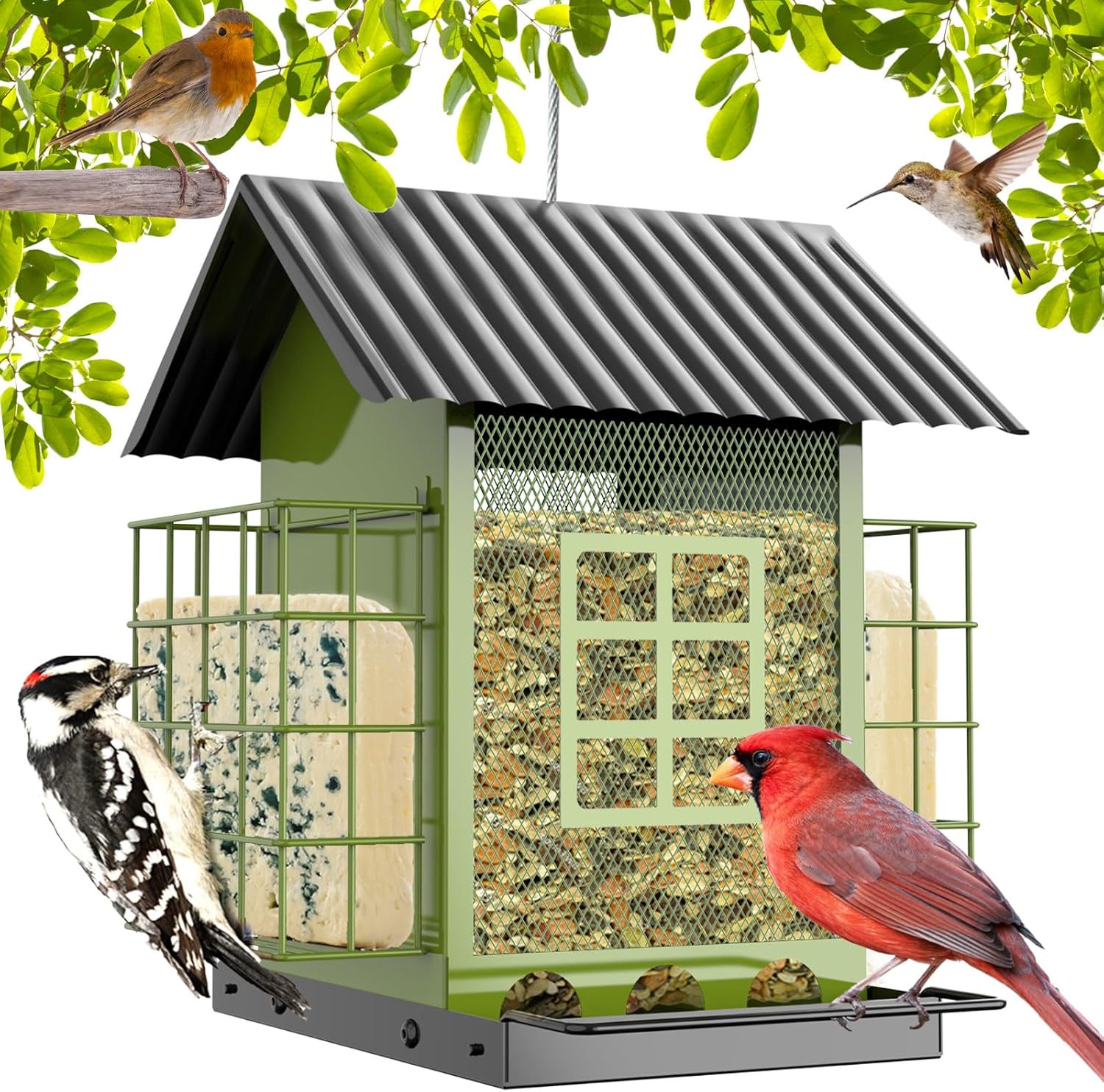 Metal house Bird Feeder with two suet cage