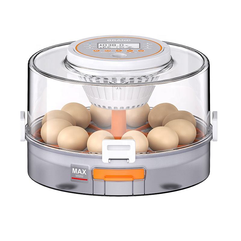 Smart Egg Incubator – Auto-Turning & Humidity Control
