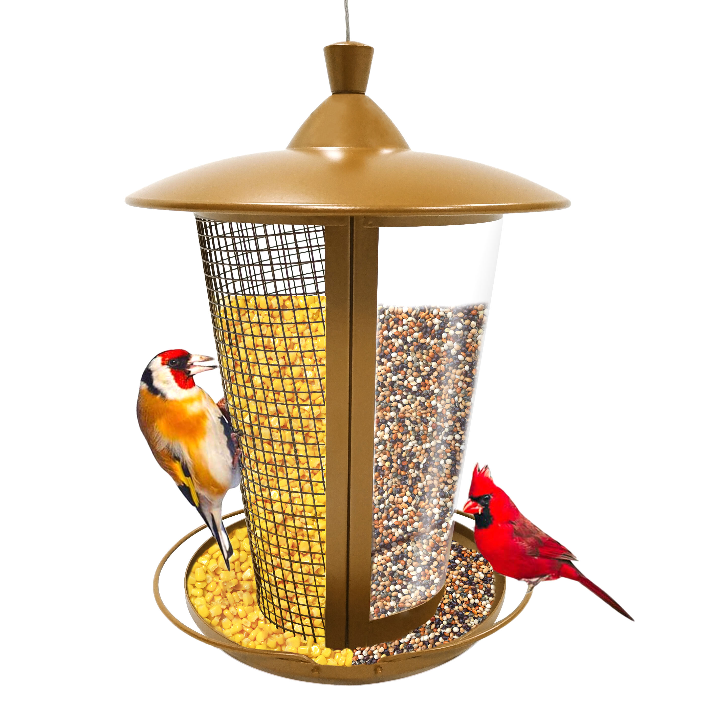 Dual-Compartment Bird Feeder – 2.5lbs Weatherproof Design