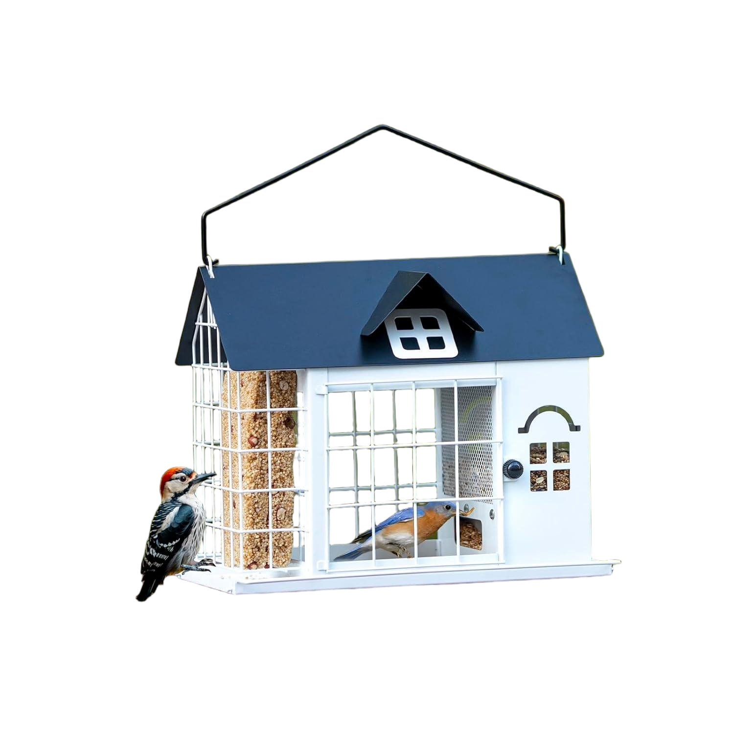 Metal Bird Feeder House – 3lbs Squirrel-Proof Dual Compartment‌