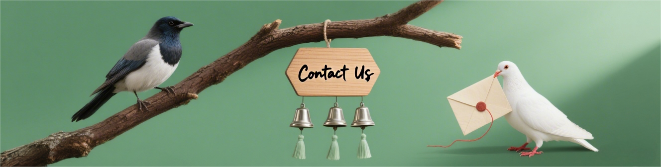 birds contact us banner