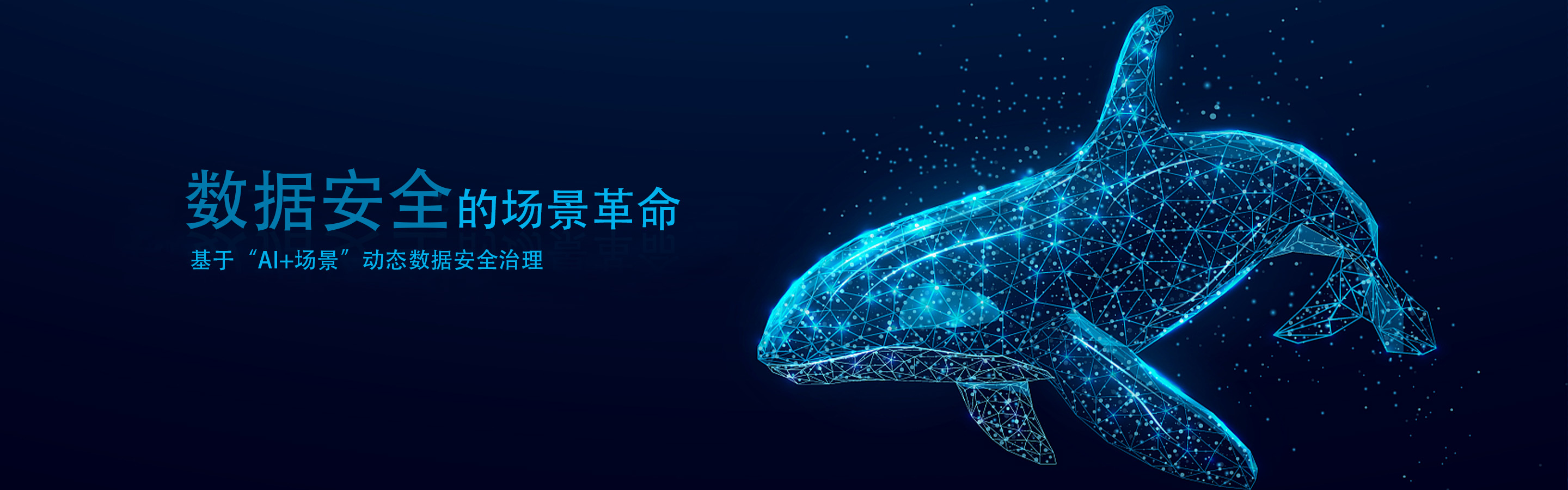 描述