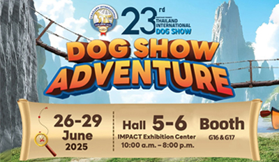 1755166935208ded137cefdb0bc4f