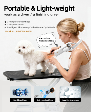 banner5_20251105_17623285849813210