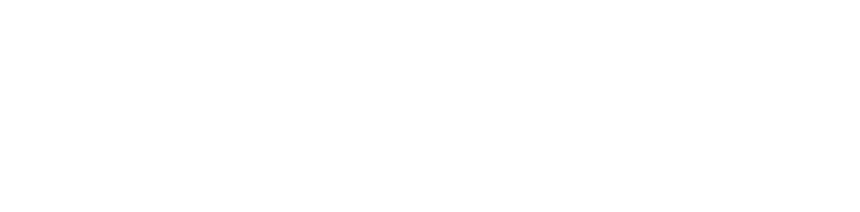 描述