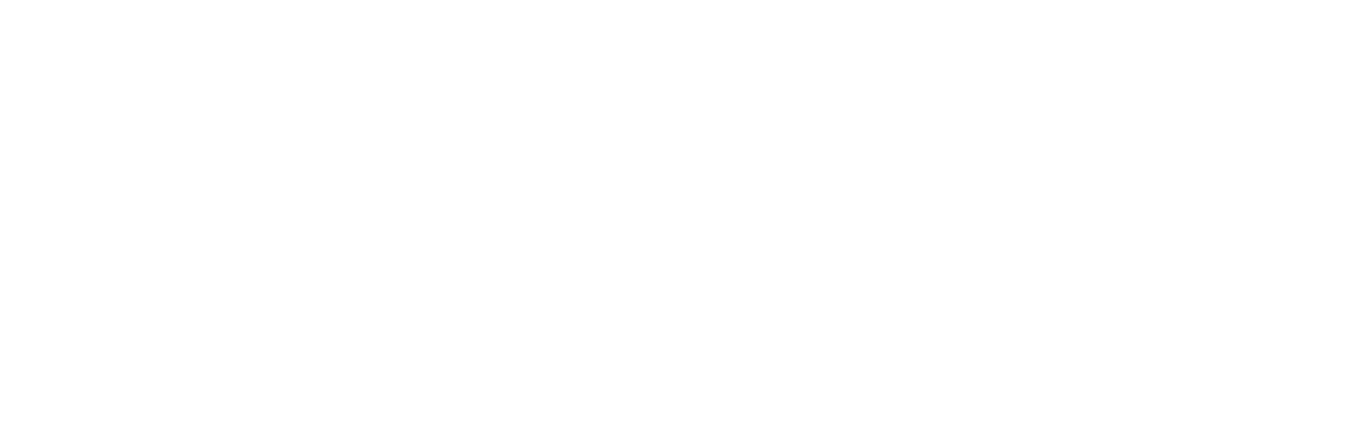 描述