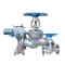 Globe-Valve