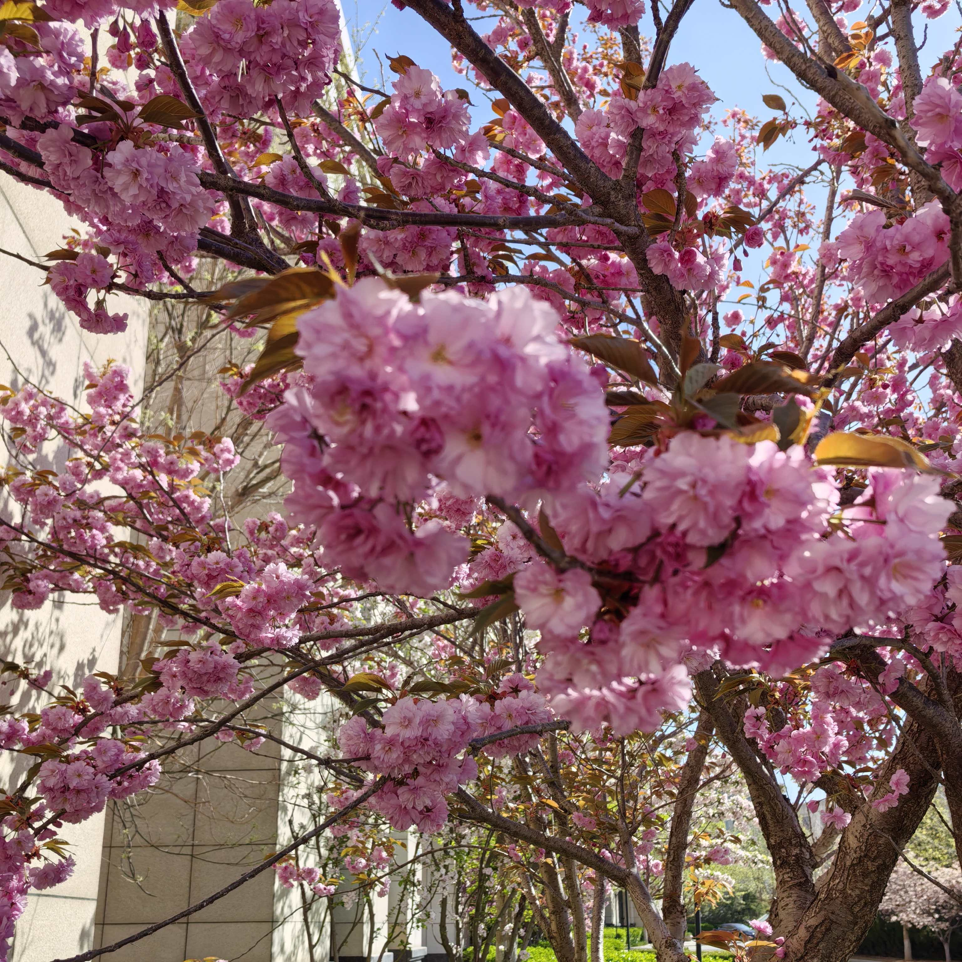 微信图片_20250915172139_1302_47_20250925_17587693009041350