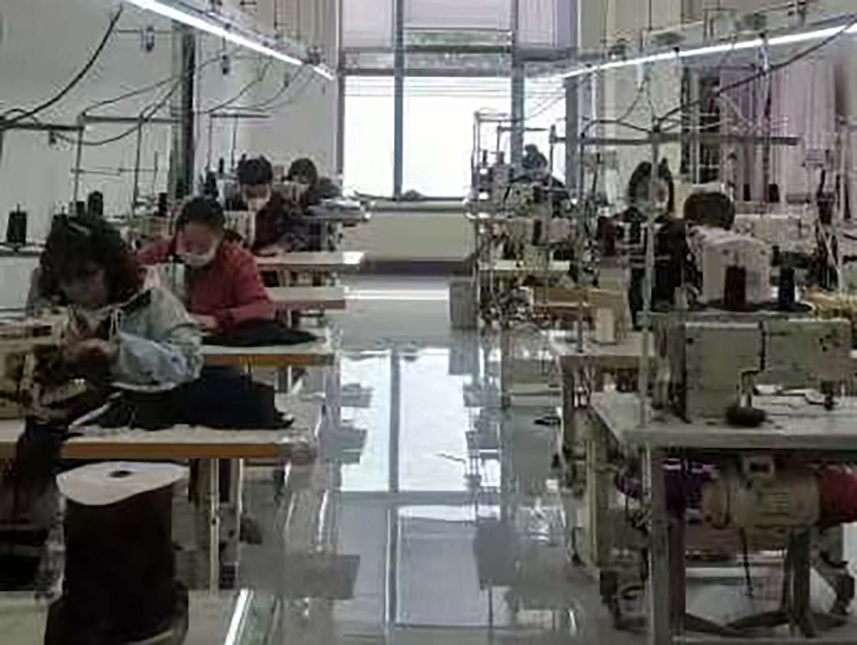 微信图片_20250929151826_174_238